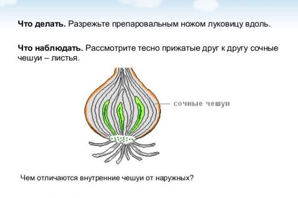Кракен актуальная ссылка kraken torion net