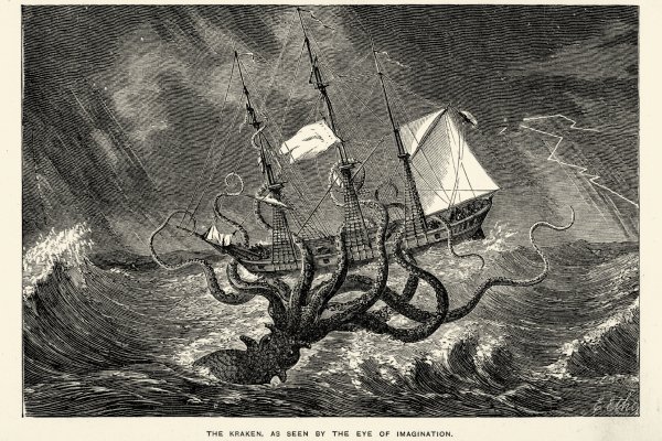 Kraken20 at