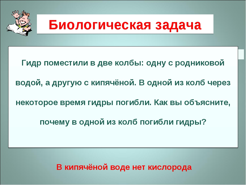 Где брать ссылки на кракен