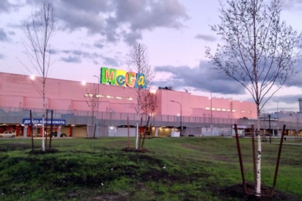 Мега кракен