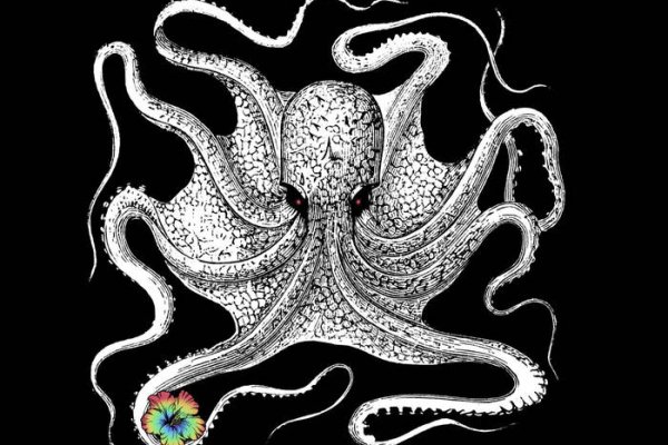 Kraken 6at