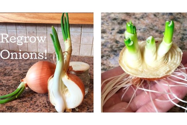 Kraken ссылка onion 2kmp