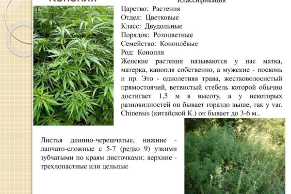 Ссылка в даркнет