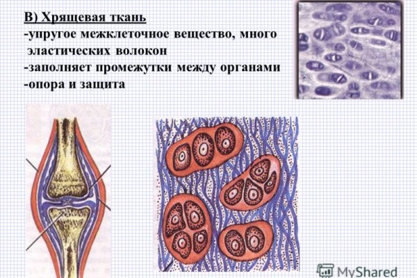 Актуальная ссылка на кракен в тор 2krnmarket