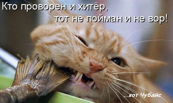 Кракен вход ссылка